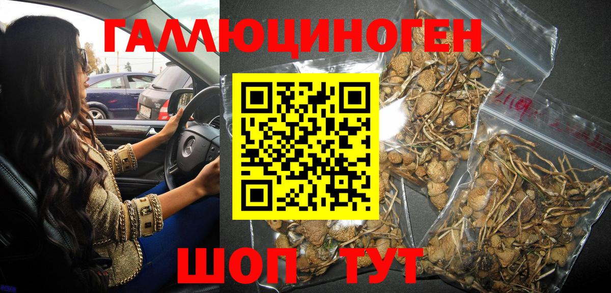 Михайловка  Псилоцибиновые грибы прущие грибы  Галлюциногенные грибы Cubensis  Вход с VPN 